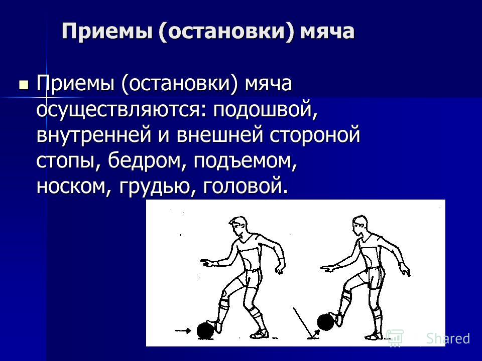 Обучение Технике Ведения Мяча На Месте И В Движении Реферат - 69 фото