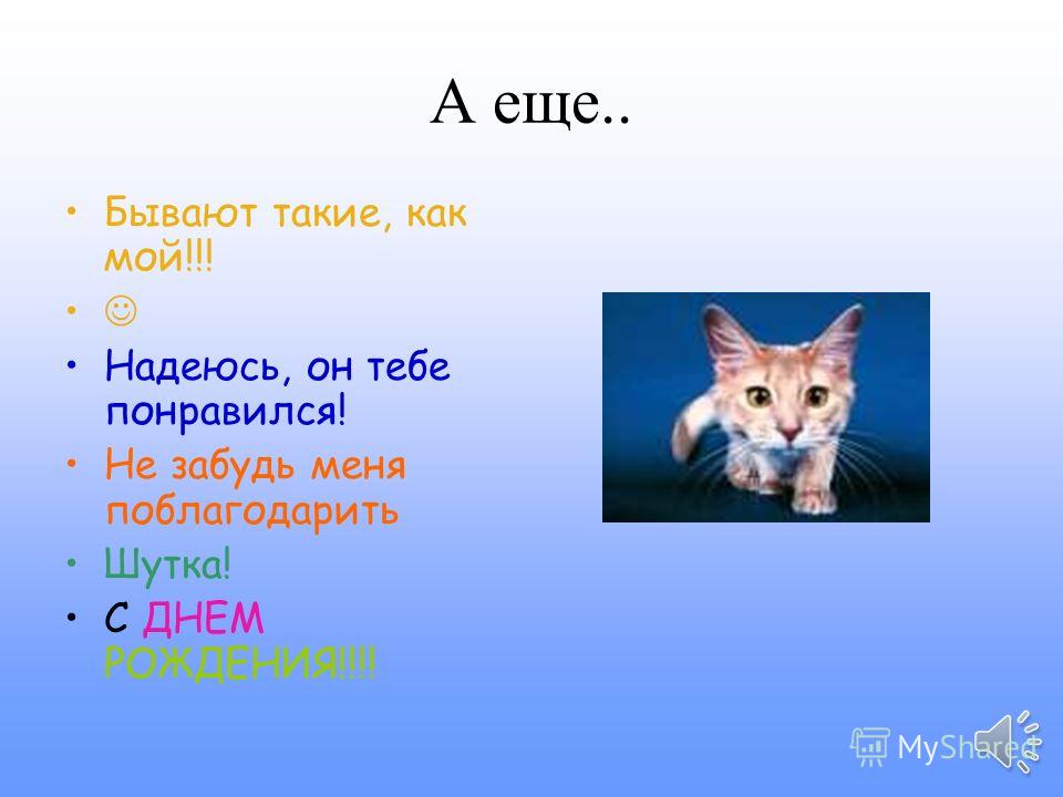 Смотреть Цыплята табака с айвой в духовке видео Смотреть Цыплята табака с айвой в духовке видео