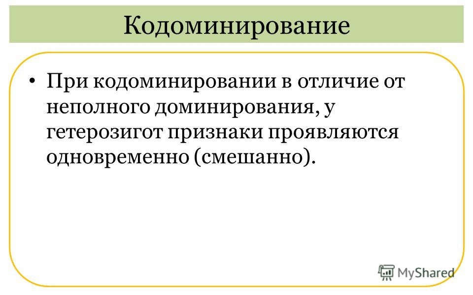 Презентация кодоминирование 10 класс