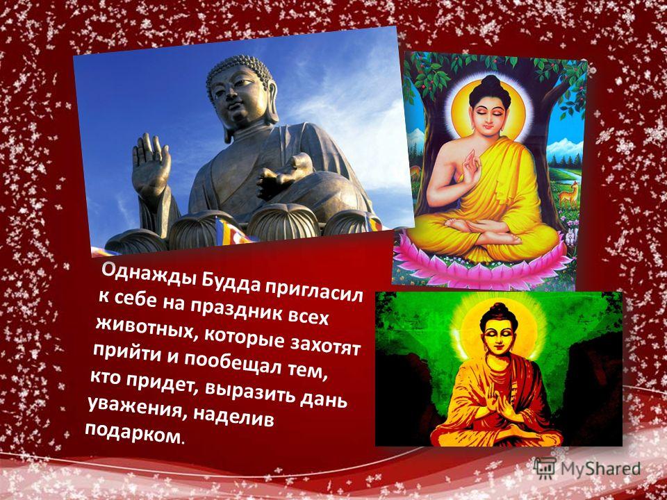 foto Гороскоп Водолея на 2015 год Козы изображения photo Гороскоп Водолея на 2015 год Козы изображения