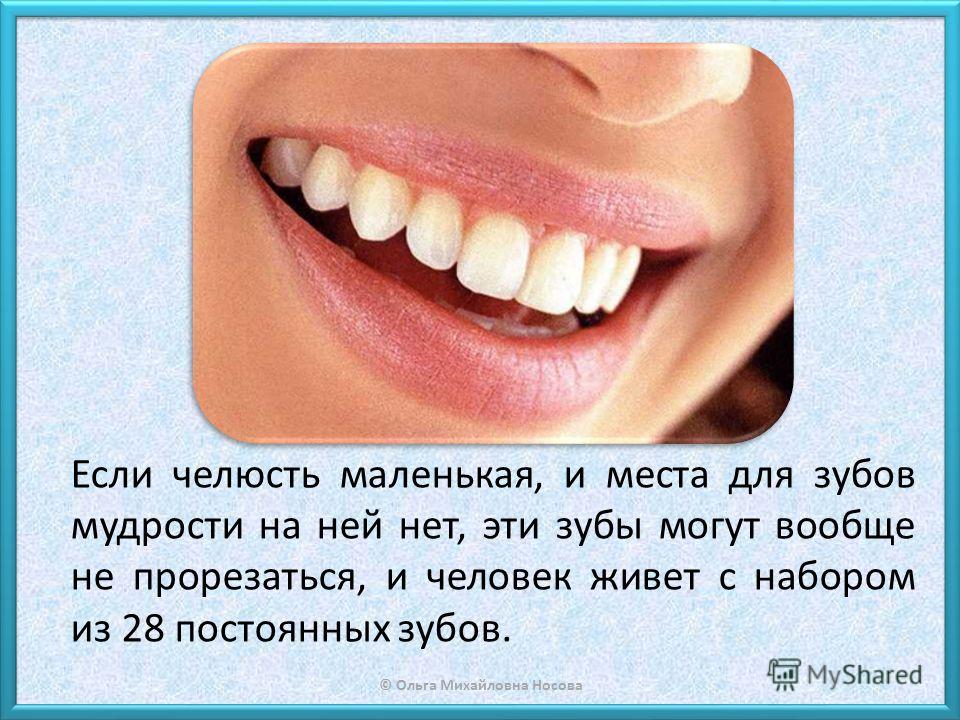 К чему выростают зубы мудрости К чему выростают зубы мудрости