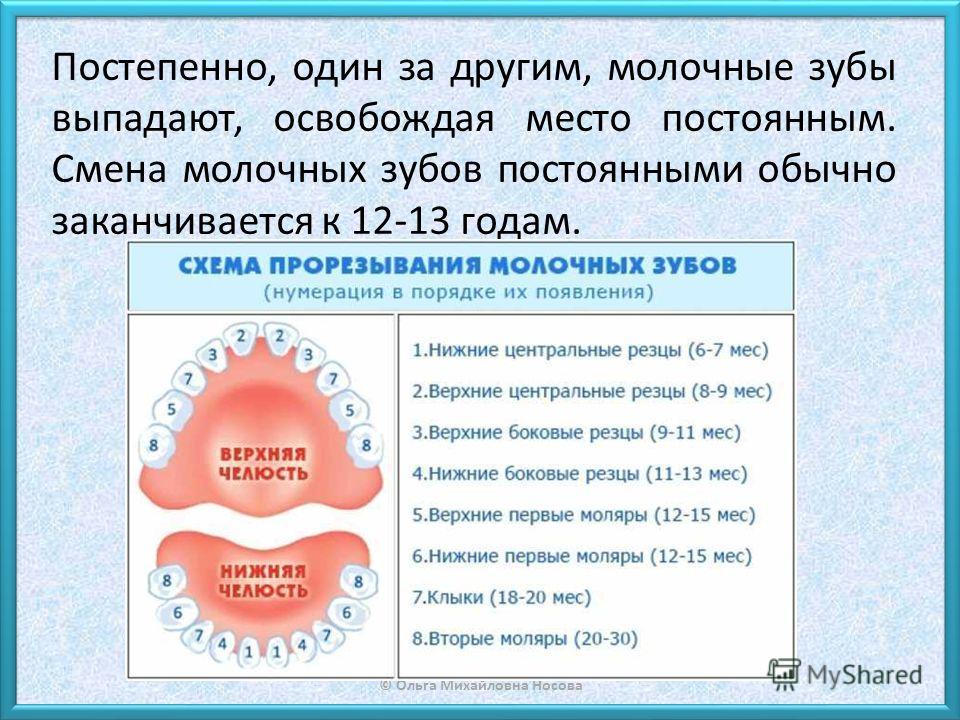 Выпал Первый Зуб У Ребенка Поздравления