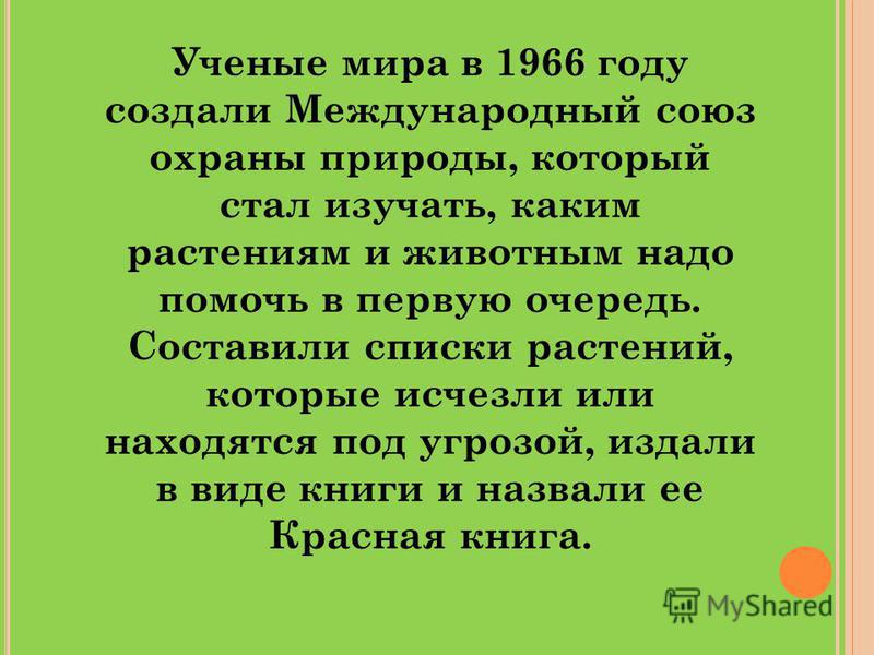 С каким животным в первую очередь связано слово КОВБОЙ? С каким животным в первую очередь связано слово КОВБОЙ?