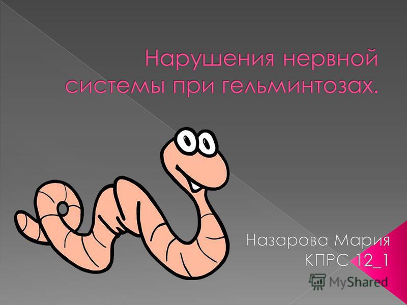 самые распространенные паразиты в организме человека самые распространенные паразиты в организме человека