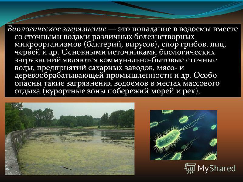 Деньги и все что с ними связано - Смарт Бизнес - m Газеты и журналы: полная база периодики