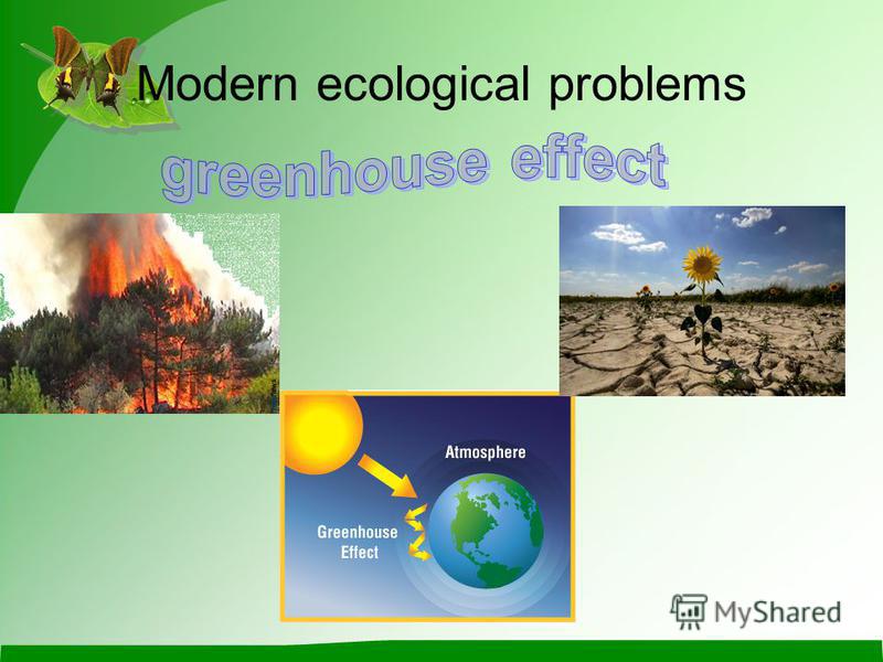 Modern ecological problems