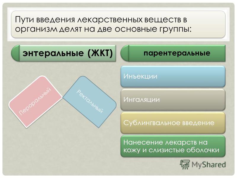 Дипломная работа по теме Анатомические и физиологические предпосылки ректального применения лекарственных веществ Дипломная работа по теме Анатомические и физиологические предпосылки ректального применения лекарственных веществ