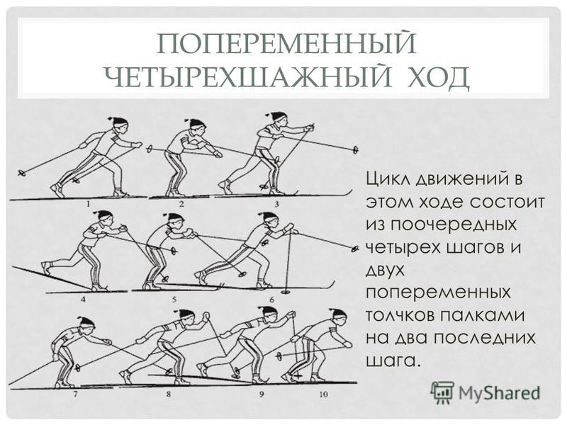 Реферат по теме Попеременный двухшажный ход Реферат по теме Попеременный двухшажный ход
