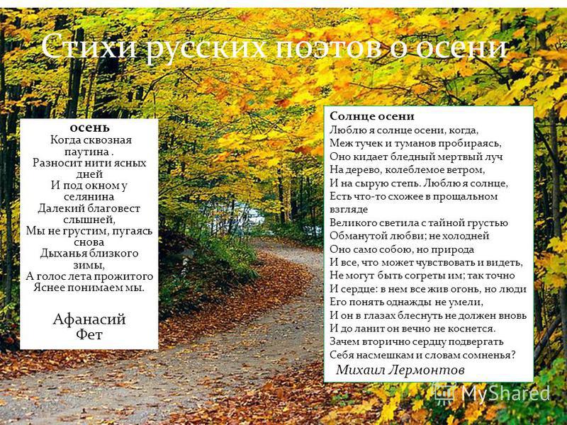 Что нам принесла осень разные работы картинки Что нам принесла осень разные работы картинки