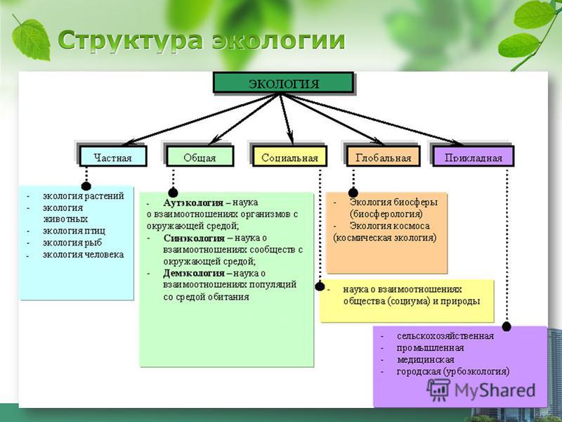 Эссе На Тему Природа Знает Лучше Эссе На Тему Природа Знает Лучше