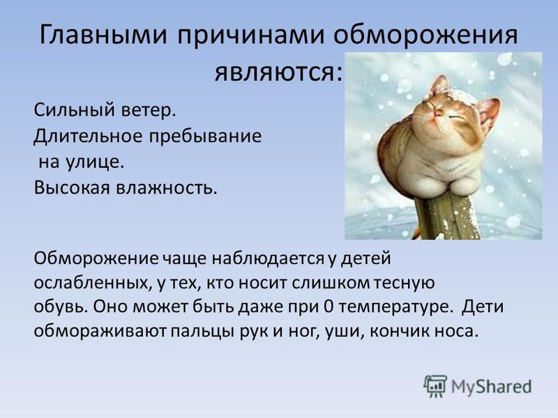 Смотреть - Обморожение – признаки, степени и первая помощь при обморожении видео Посмотрите - Обморожение – признаки, степени и первая помощь при обморожении видео