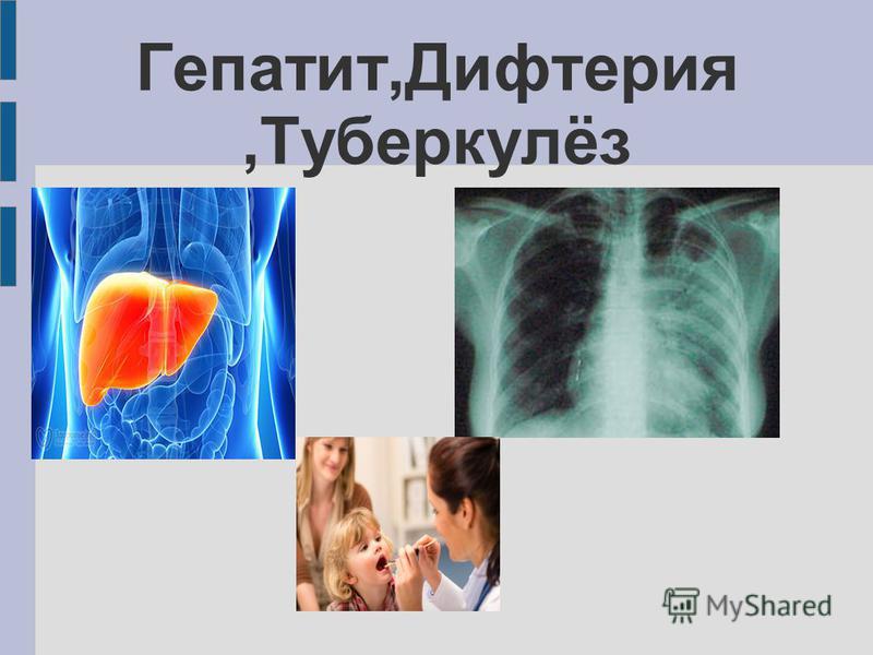 антитоксин это сыворотка антитоксин это сыворотка