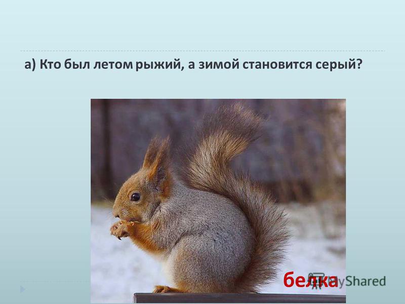 Как в ворде сделать скобку в формуле Как в ворде сделать скобку в формуле