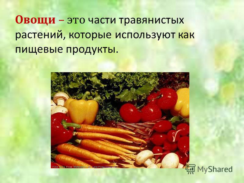 Овощи – это части травянистых растений, которые используют как пищевые продукты.