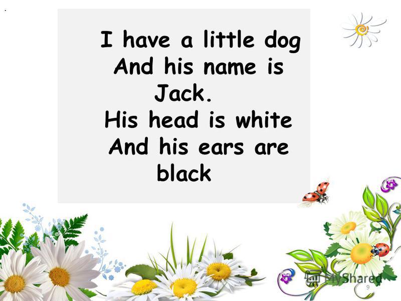I have a little dog And his name is Jack. His head is white And his ears are black 9.