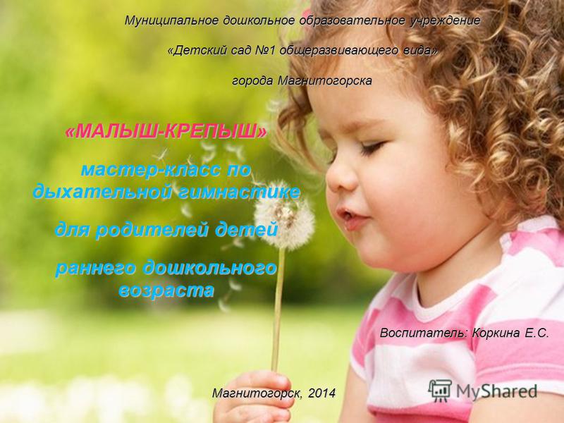 Все о пальмах домашних условиях Все о пальмах домашних условиях