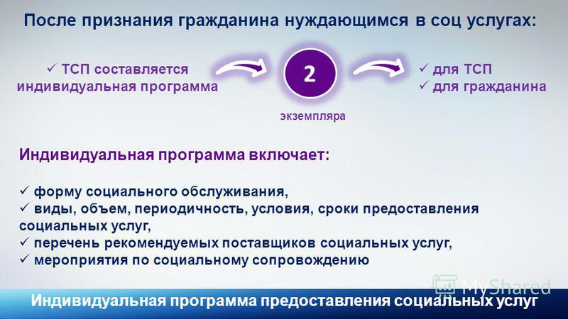 индивидуальная программа питания для похудения индивидуальная программа питания для похудения