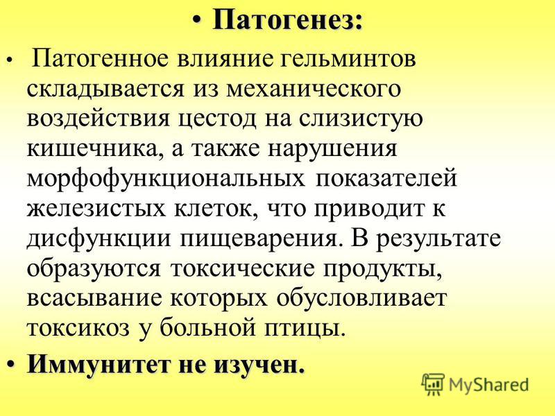 Определить глисты без анализов