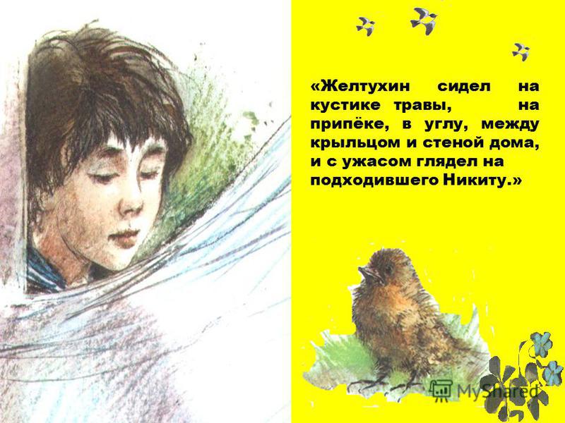 Герман желтухин портрет и фото А толстой желтухин презентация