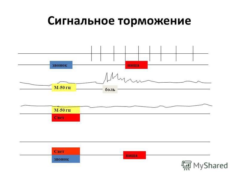 Звук 50 гц скачать