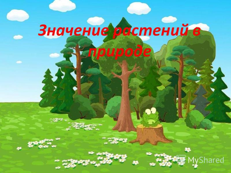Значение корня в природе картинки Значение корня в природе картинки
