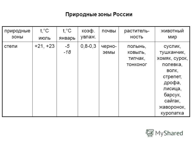 Поделки из бутылок кошка Поделки из бутылок кошка