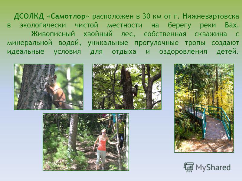5 ти разовое питание для похудения меню 5 ти разовое питание для похудения меню