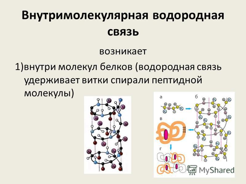 Что находится внутри молекулы Презентация на тему: "Беседа по вопросам. 1. Какими особенностями характеризуетс