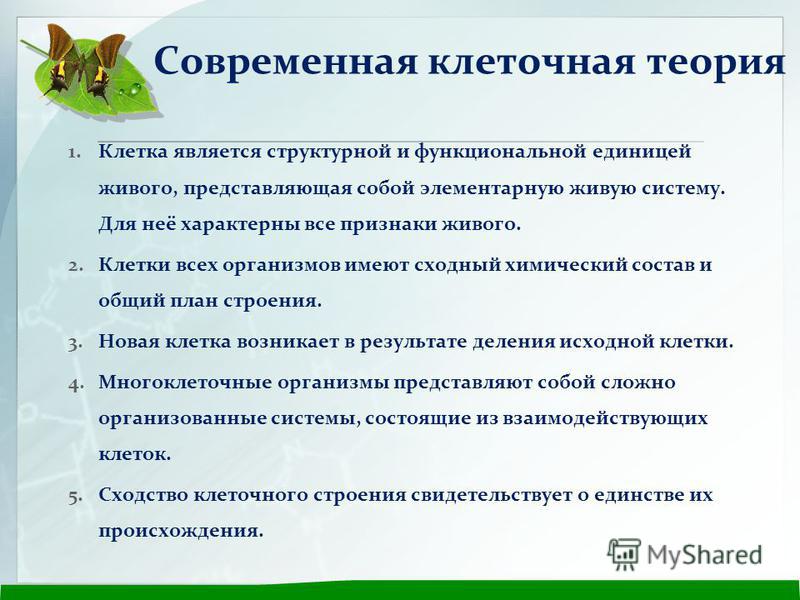 Клеточное строение организмов