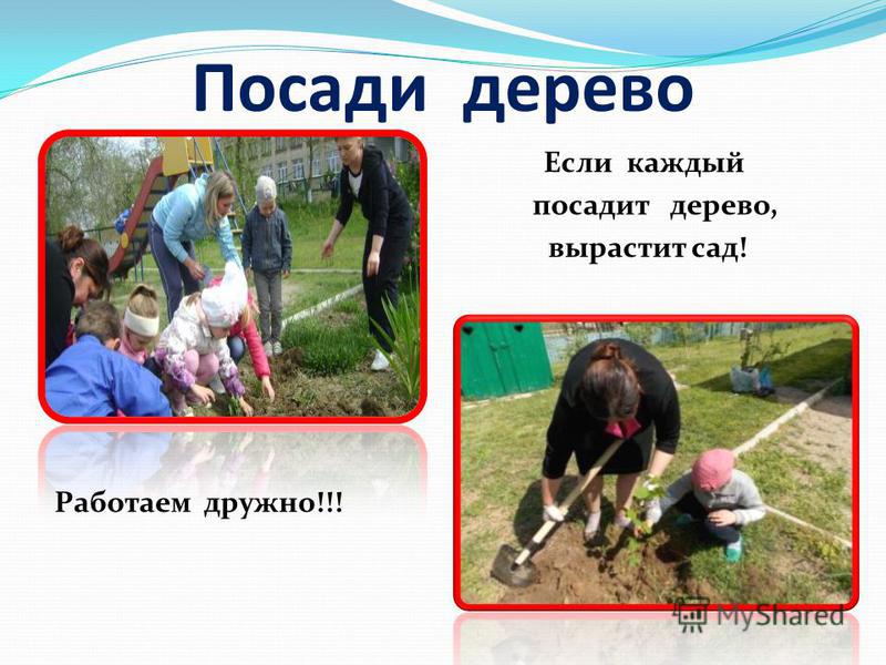 В гармонии с природой поделки В гармонии с природой поделки
