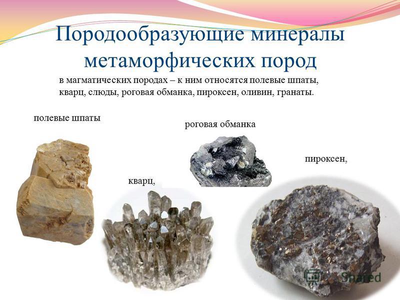Выберите примеры магматических горных пород