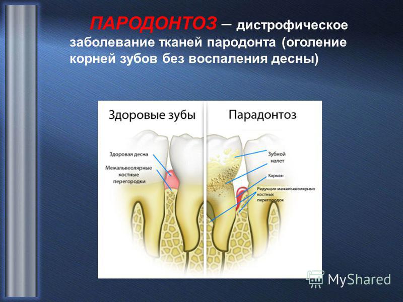 Битва экстрасенсов / 14-18 сезон (2013-2017) Скачать Амурские хирурги начали уменьшать желудки худеющим / ИА
