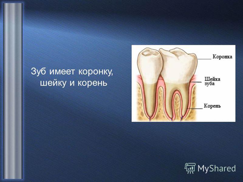 Лучшие поздравления на совершеннолетие Кружево из шпатлевки для декупажа. Автор мк Лариса
