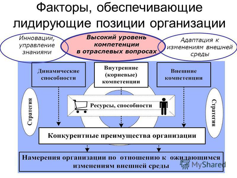 Дипломная работа по теме Управление персоналом в сфере здравоохранения на примере косметологического центра ООО 'Лелея' Дипломная работа по теме Управление персоналом в сфере здравоохранения на примере косметологического центра ООО 'Лелея'