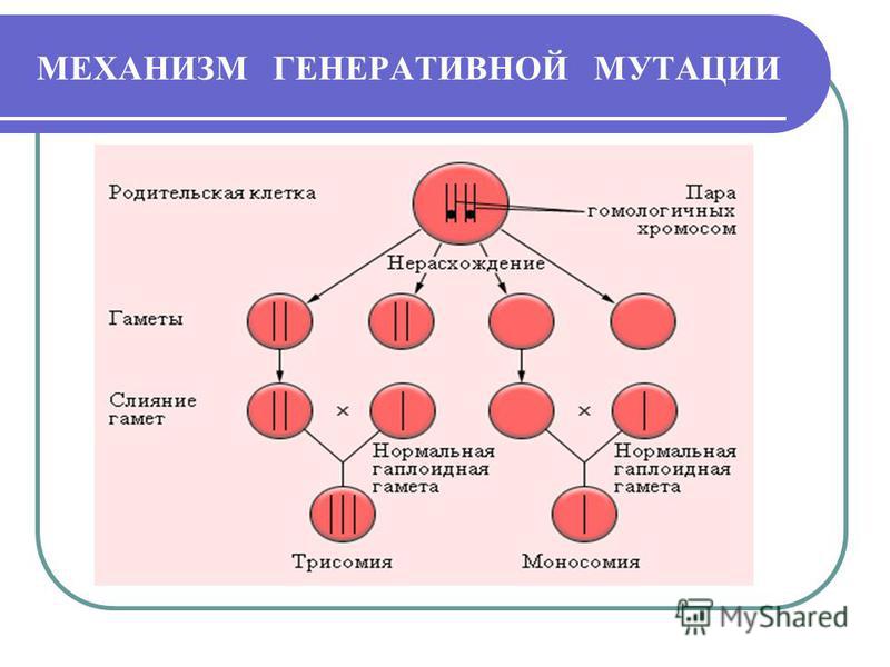 Зуб мудрости разрушился как снять боль