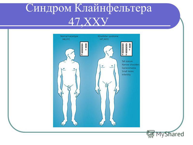 Что если зуб болит на холод