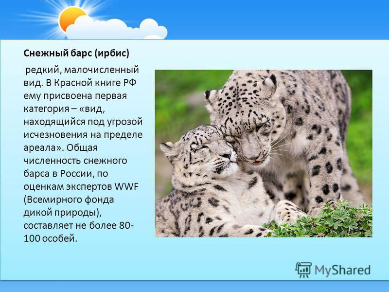 Доклад вымирающие на тему животные 5052