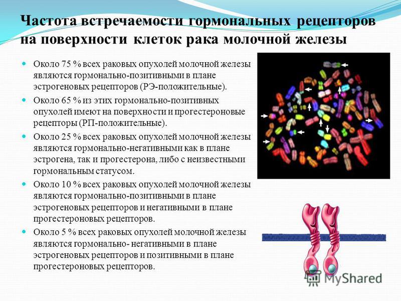 Статусы о химиотерапии Статусы о химиотерапии
