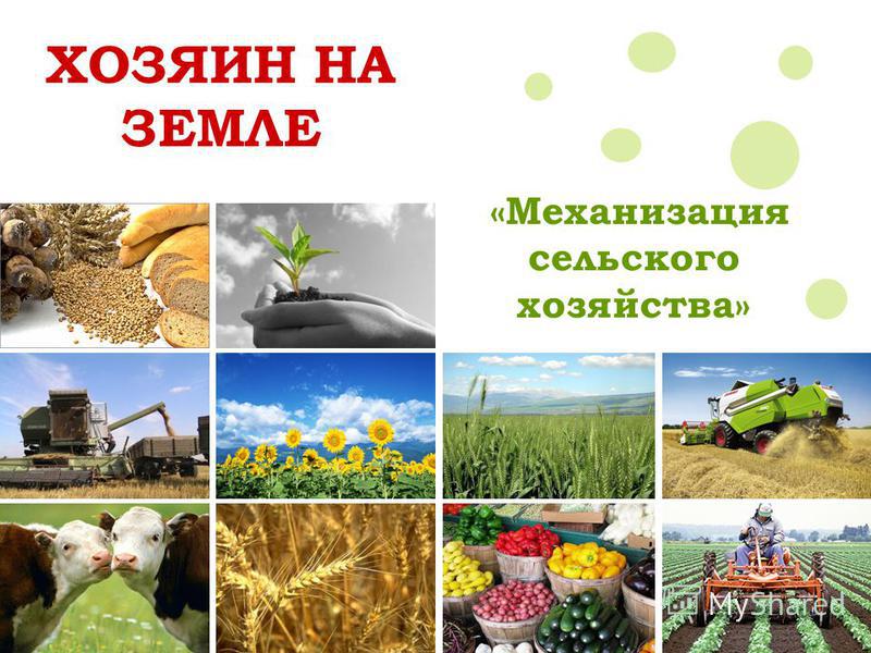Механизация сельского хозяйства Механизация сельского хозяйства
