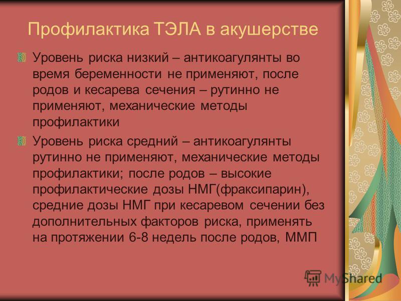 Красивые наряды беременных звезд 40