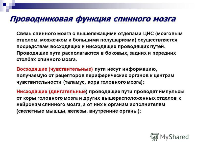 Проводниковая функция пример