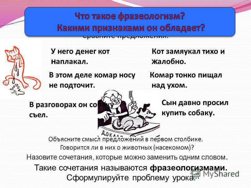 Синоним фразеологизм кот наплакал