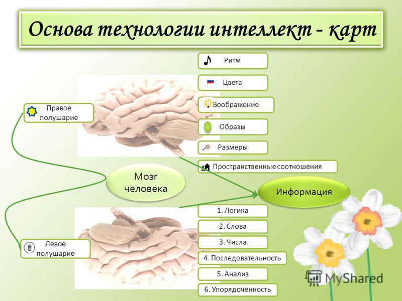 интеллект карты тони бьюзен скачать