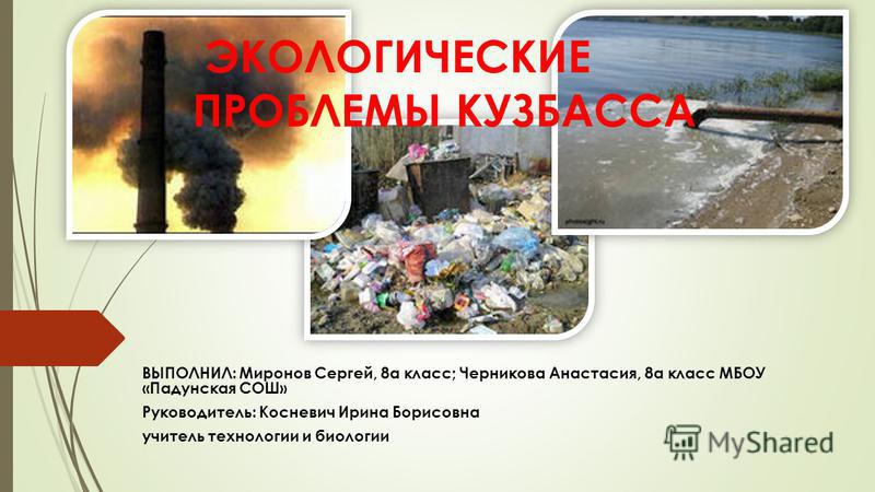 Контрольная работа по теме Экологическая ситуация в Новокузнецке