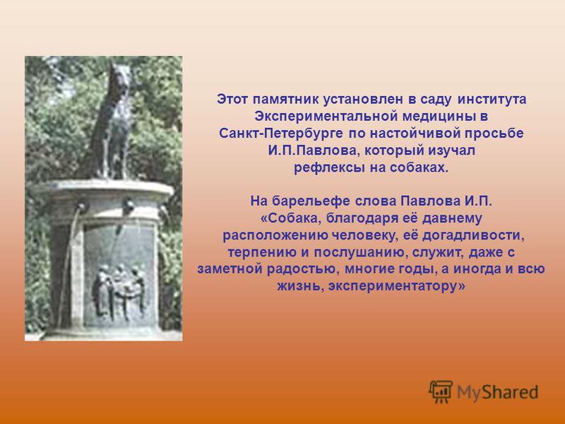 Записаться к врачу через интернет череповец поликлиника 7