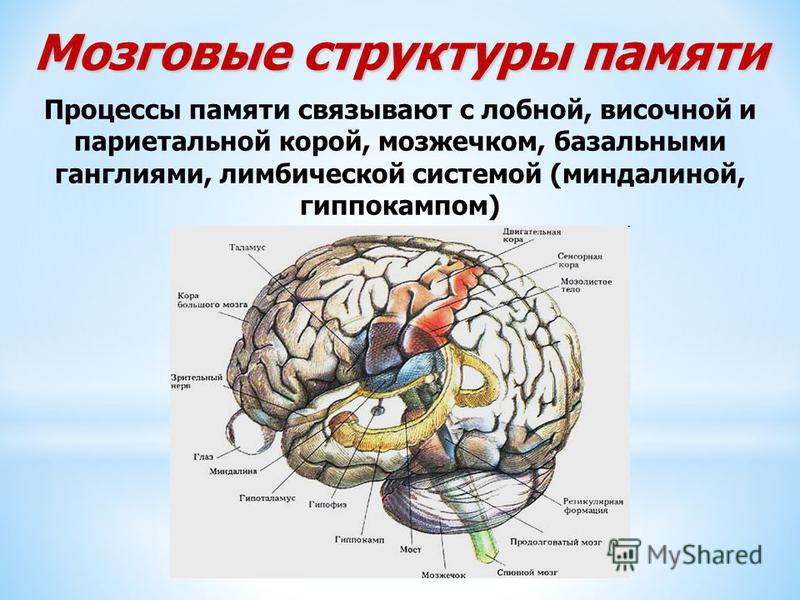 Выкройка юбки солнце -уроки кроя и шитья Брошки из бисера: схемы и полезные советы
