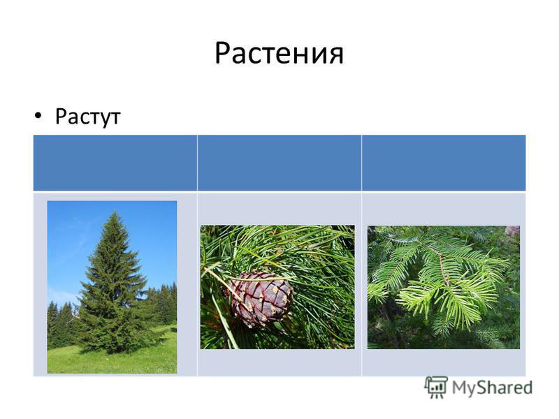 Зимняя одежда с мембраной