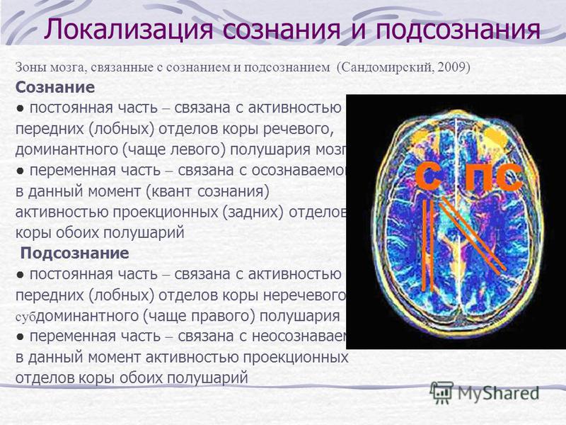 Активность мозга связанная Активность мозга связанная
