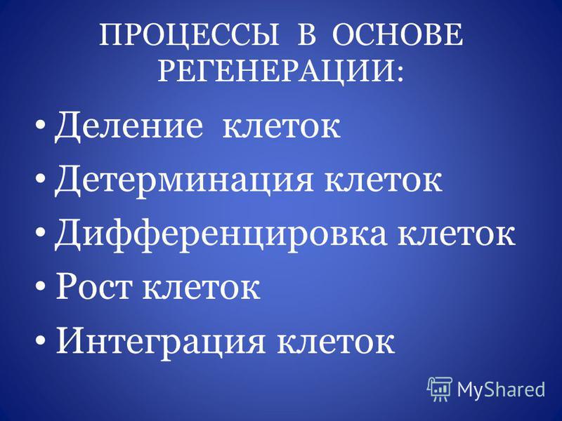 Выберите примеры физиологической регенерации