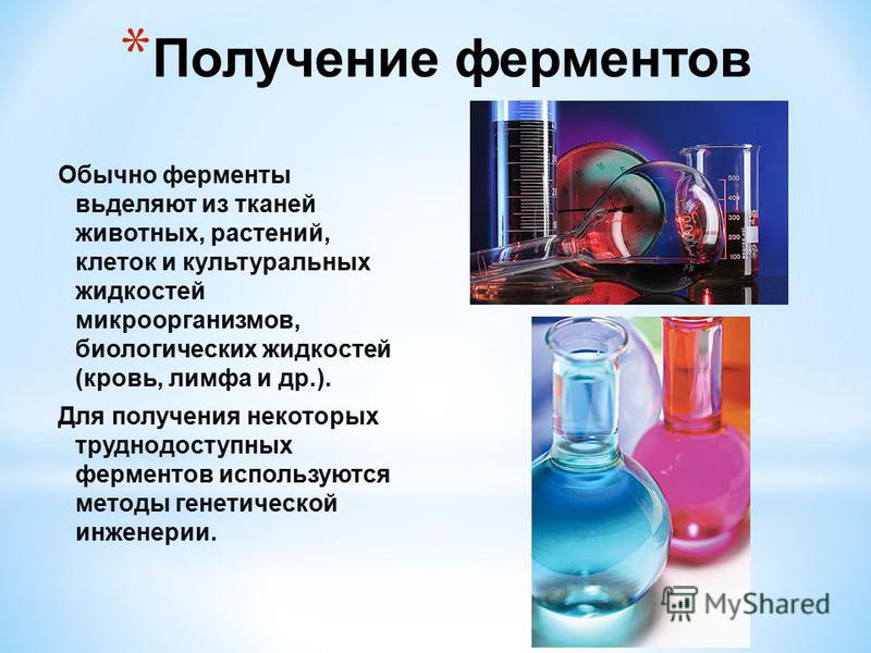 Примеры ферментов в организме человека - Telegraph